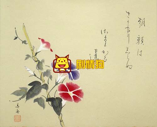 夕颜酱是什么梗 夕颜酱在影视中有什么含义